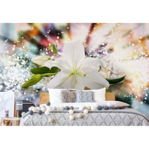 Fototapet - Lily Flowers Modern Design Sparkles Vliesová tapeta - 254x184 cm