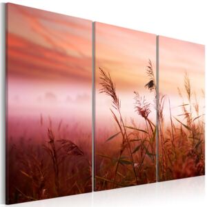 Tablou - A Silent Meadow 60x40 cm