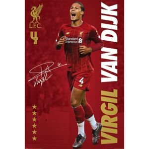 Buvu Poster - Liverpool FC (Virgil Van Dijk)