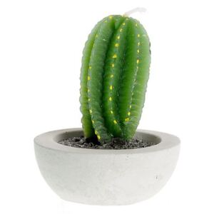 Lumanare forma cactus