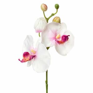 Orhidee decorativa WHITE 20 cm