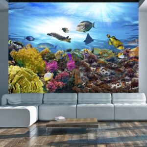 Fototapet Bimago - Coral reef + Adeziv gratuit 200x140 cm