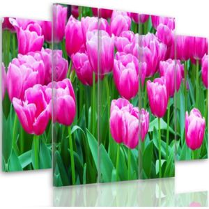 CARO Tablou pe pânză - Pink Tulips 1 100x70 cm
