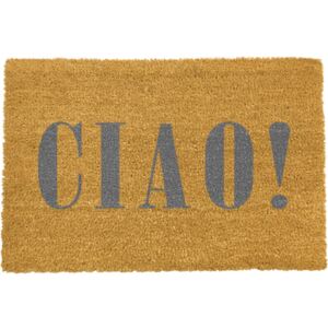 Covor intrare Artsy Doormats Ciao Grey, 40 x 60 cm