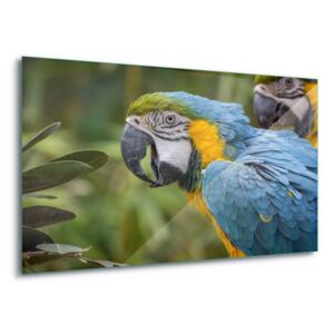Tablou pe sticlă - Bright Macaw 100x75 cm
