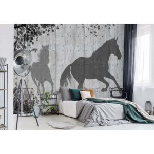 Fototapet - Horses Silhouette Grey Papírová tapeta - 184x254 cm