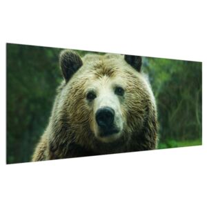 Tablou cu ursul (Modern tablou, 120x50 cm)