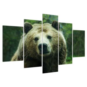 Tablou cu ursul (Modern tablou, 150x105 cm)