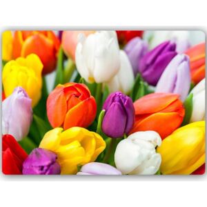 CARO Tablou metalic - Colorful Tulips 40x30 cm