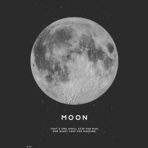 Moon Poster, (61 x 91,5 cm)