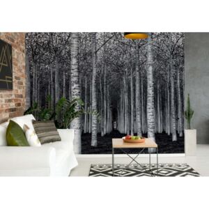 Fototapet GLIX - The Forest For The Trees + adeziv GRATUIT Tapet nețesute - 104x70 cm