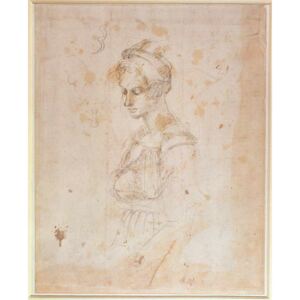 W.41 Sketch of a woman Reproducere, Michelangelo Buonarroti