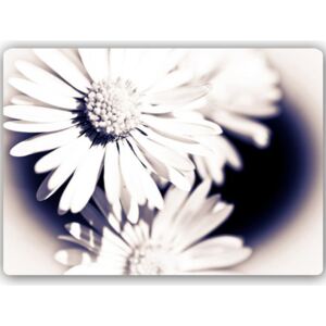 CARO Tablou metalic - Flowers In The Sun R. Kulik 40x30 cm