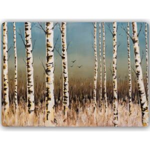 CARO Tablou metalic - Birch Forest 40x30 cm