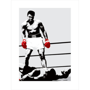 Muhammad Ali - Gloves Reproducere, (60 x 80 cm)