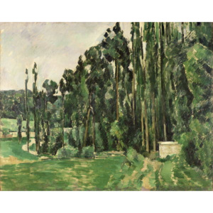 The Poplars, c.1879-82 Reproducere, Paul Cezanne