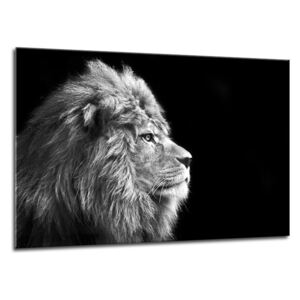 Tablou pe sticlă - Styler Lion 100x70 cm