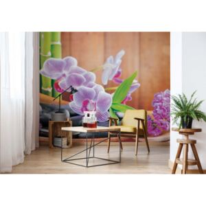 Fototapet - Flowers Orchids Zen Vliesová tapeta - 254x184 cm