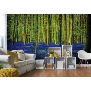Fototapet - Blue Forest Trees Vliesová tapeta - 416x254 cm