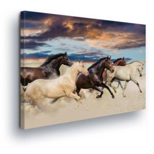 Tablou - Horse Hero 80x60 cm
