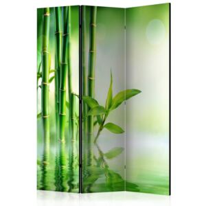 Paravan - Green Bamboo 135x172cm