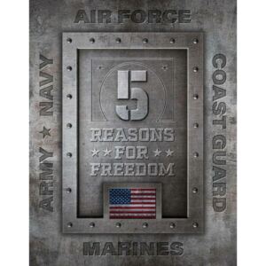 Placă metalică 5 Reasons for Freedom, ( x cm)