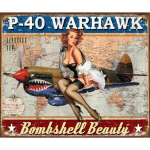 Placă metalică P-40 Warhawk, ( x cm)
