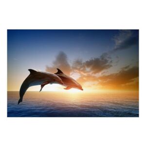 Tablou cu delfinii (K011358K9060)