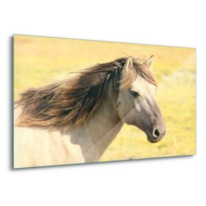 Tablou pe sticlă - Beautiful Horse 4 x 30x80 cm