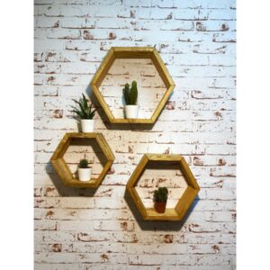 Set 3 rafturi hexagonale din lemn - Alun