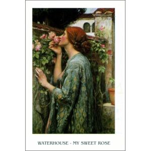 Waterhouse - My Sweet Rose Reproducere, (24 x 30 cm)