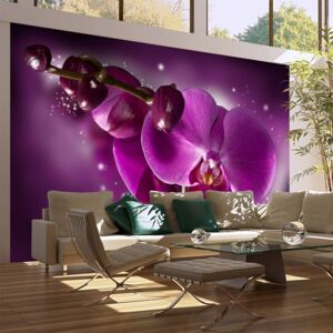 Bimago Fototapet - Fairy Tale And Orchid 450x270 cm