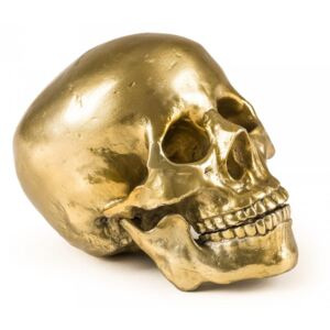 Obiect decorativ auriu din aluminiu 13×20 cm Human Skull Seletti