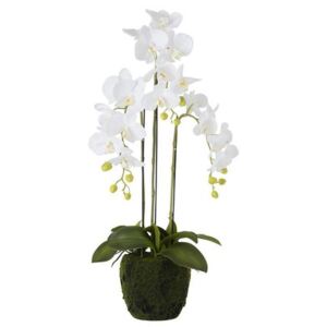 Orhidee Floare artificiala ghiveci mic, Plastic, Alb