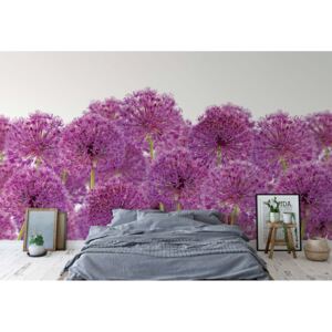 Fototapet - Purple Flowers Vliesová tapeta - 416x290 cm