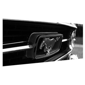 Tablou detailat cu mașina Mustang (Modern tablou, K010943K12050)