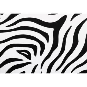 Autocolant d-c-fix® decor zebra, alb-negru, 45x200 cm