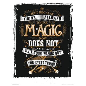 Harry Potter - Magic Reproducere, (30 x 40 cm)
