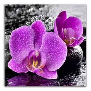 Styler Tablou pe sticlă - Orchid Pink 30x30 cm