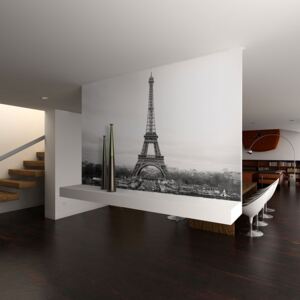 Fototapet - Paris: black and white photography 350x270 cm