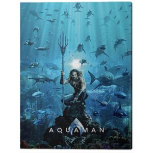 Aquaman - Teaser Tablou Canvas, (60 x 80 cm)
