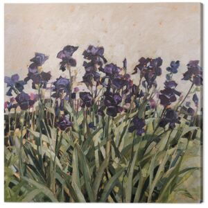 Anne-Marie Butlin - May Garden Tablou Canvas, (60 x 60 cm)
