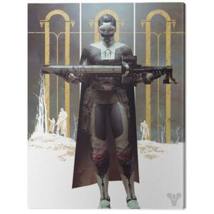 Destiny - Black Armory Tablou Canvas, (60 x 80 cm)