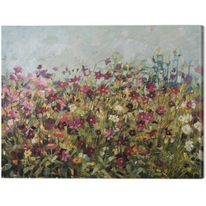Anne-Marie Butlin - Pink Cosmos Tablou Canvas, (80 x 60 cm)