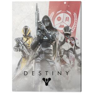 Destiny - Fireteam Tablou Canvas, (60 x 80 cm)