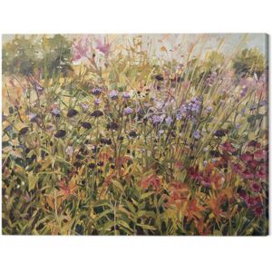 Anne-Marie Butlin - Field with Lillies Tablou Canvas, (80 x 60 cm)