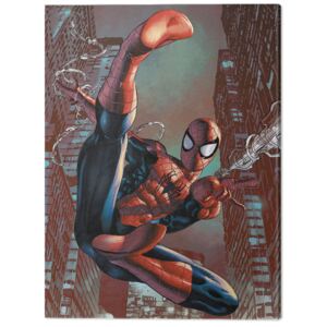 Spiderman - Web-Sling Tablou Canvas, (30 x 40 cm)