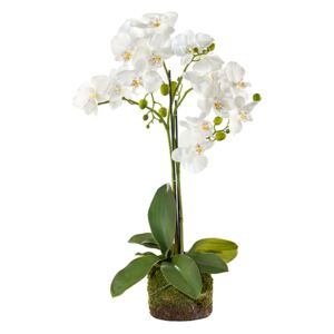 Orhidee la ghiveci artificiala alb 80x15 cm