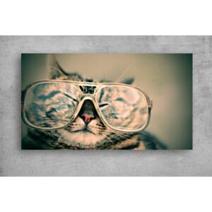 Tablouri Canvas Animale - Retro cat