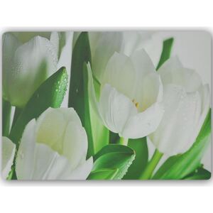 CARO Tablou metalic - White Tulips 40x30 cm